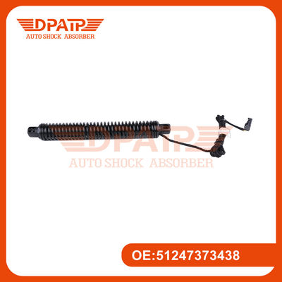 Sistema eléctrico de elevación Puerta trasera 51247373438 para elevador de puerta trasera de automóviles BMW F10 F18