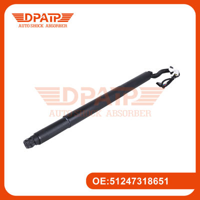 Repuesto de soporte automático de la puerta trasera del ascensor 51247318651 51247318652 para BMW X6 F16