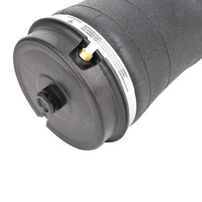 Muelle de suspensión por aire para Land Rover Vogue L322 RKB500082 RKB500080 RKB000151 trasero izquierda y derecha